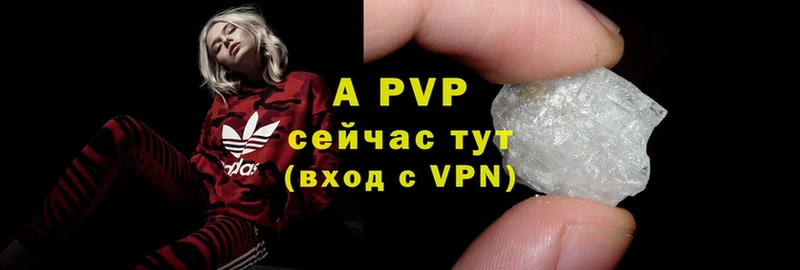 A PVP СК  Малая Вишера 